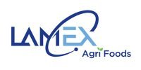lamex-logo